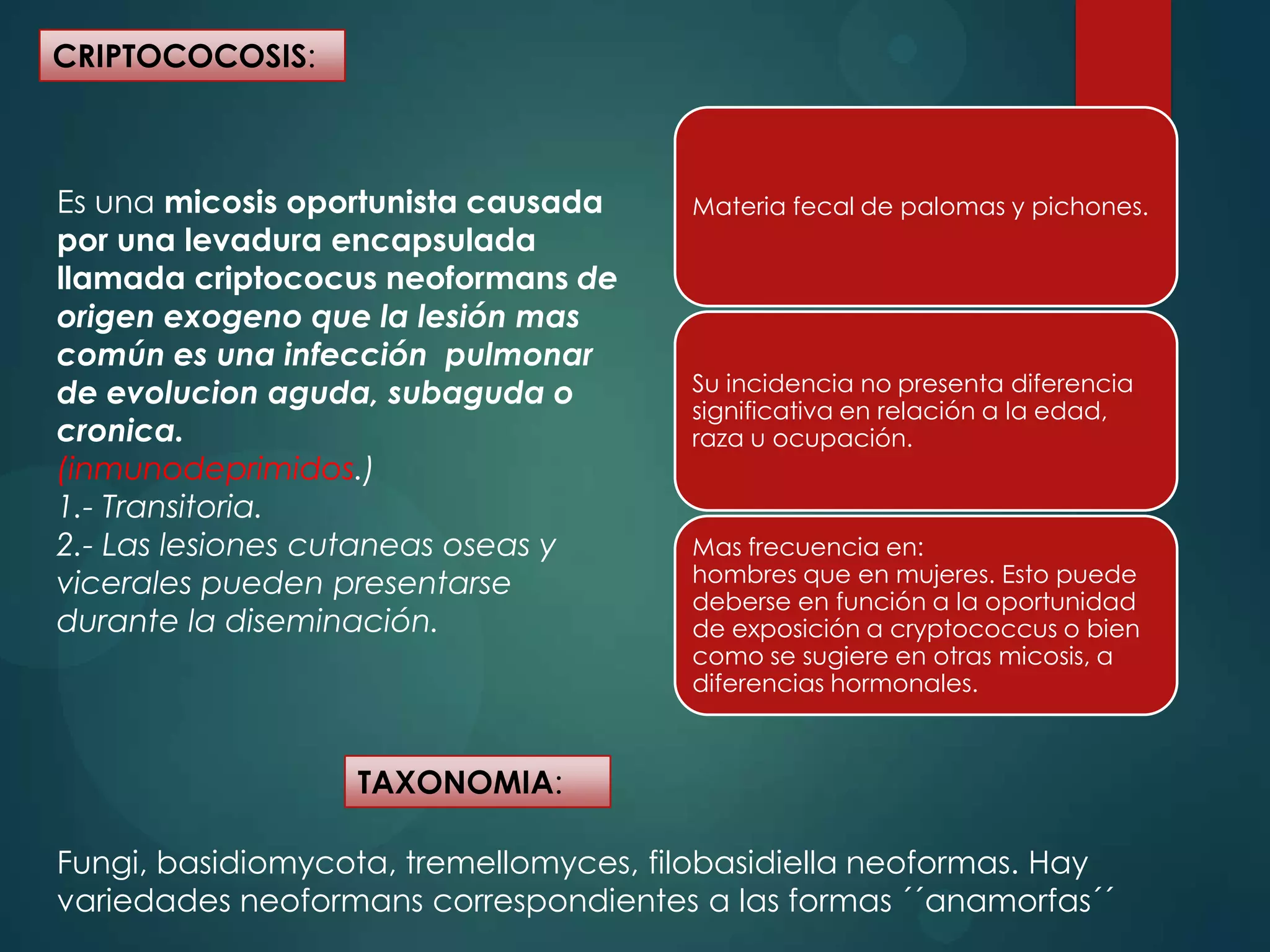 Criptococosis | PPTX
