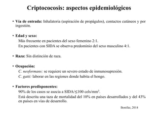 Criptococosis: aspectos epidemiológicos
• Vía de entrada: Inhalatoria (aspiración de propágulos), contactos cutáneos y por
ingestión.
• Edad y sexo:
Más frecuente en pacientes del sexo femenino 2:1.
En pacientes con SIDA se observa predominio del sexo masculino 4:1.
• Raza: Sin distinción de raza.
• Ocupación:
C. neoformans: se requiere un severo estado de inmunosupresión.
C. gatti: laborar en las regiones donde habita el hongo.
• Factores predisponentes:
90% de los casos se asocia a SIDA/≤100 cels/mm3.
Está descrita una taza de mortalidad del 10% en países desarrollados y del 43%
en países en vías de desarrollo.
Bonifaz, 2014
 