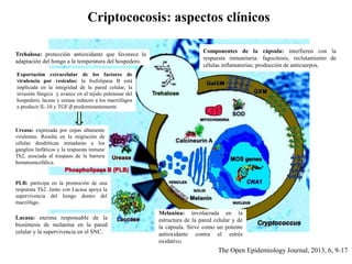 Trehalosa: protección antioxidante que favorece la
adaptación del hongo a la temperatura del hospedero.
Componentes de la cápsula: interfieren con la
respuesta inmunitaria: fagocitosis, reclutamiento de
células inflamatorias; producción de anticuerpos.
Melanina: involucrada en la
estructura de la pared celular y de
la cápsula. Sirve como un potente
antioxidante contra el estrés
oxidativo.
Lacasa: enzima responsable de la
biosíntesis de melanina en la pared
celular y la supervivencia en el SNC.
PLB: participa en la promoción de una
respuesta Th2. Junto con Lacasa apoya la
supervivencia del hongo dentro del
macrófago.
Ureasa: expresada por cepas altamente
virulentas. Resulta en la migración de
células dendríticas inmaduras a los
ganglios linfáticos y la respuesta inmune
Th2, asociada al traspaso de la barrera
hematoencefálica.
Exportación extracelular de los factores de
virulencia por vesículas: la fosfolipasa B está
implicada en la integridad de la pared celular, la
invasión fúngica y avance en el tejido pulmonar del
hospedero; lacasa y ureasa inducen a los macrófagos
a producir IL-10 y TGF-β predominantemente.
Criptococosis: aspectos clínicos
The Open Epidemiology Journal, 2013, 6, 9-17
 