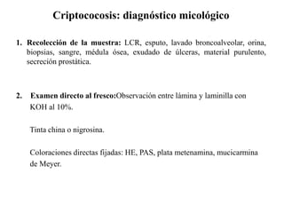 1. Recolección de la muestra: LCR, esputo, lavado broncoalveolar, orina,
biopsias, sangre, médula ósea, exudado de úlceras, material purulento,
secreción prostática.
2. Examen directo al fresco:Observación entre lámina y laminilla con
KOH al 10%.
Tinta china o nigrosina.
Coloraciones directas fijadas: HE, PAS, plata metenamina, mucicarmina
de Meyer.
Criptococosis: diagnóstico micológico
 