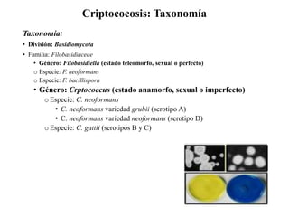 Criptococosis: Taxonomía
Taxonomía:
• División: Basidiomycota
• Familia: Filobasidiaceae
• Género: Filobasidiella (estado teleomorfo, sexual o perfecto)
o Especie: F. neoformans
o Especie: F. bacillispora
• Género: Crptococcus (estado anamorfo, sexual o imperfecto)
o Especie: C. neoformans
• C. neoformans variedad grubii (serotipo A)
• C. neoformans variedad neoformans (serotipo D)
o Especie: C. gattii (serotipos B y C)
 