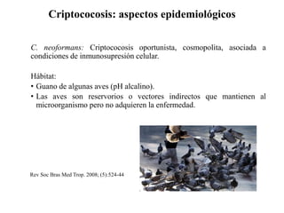 Criptococosis: aspectos epidemiológicos
C. neoformans: Criptococosis oportunista, cosmopolita, asociada a
condiciones de inmunosupresión celular.
Hábitat:
• Guano de algunas aves (pH alcalino).
• Las aves son reservorios o vectores indirectos que mantienen al
microorganismo pero no adquieren la enfermedad.
Rev Soc Bras Med Trop. 2008; (5):524-44
 