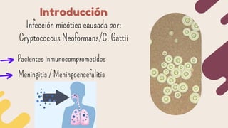 Criptococosis.pdf