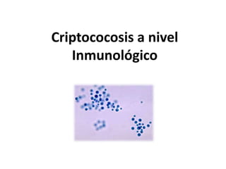 Criptococosis a nivel
Inmunológico
 