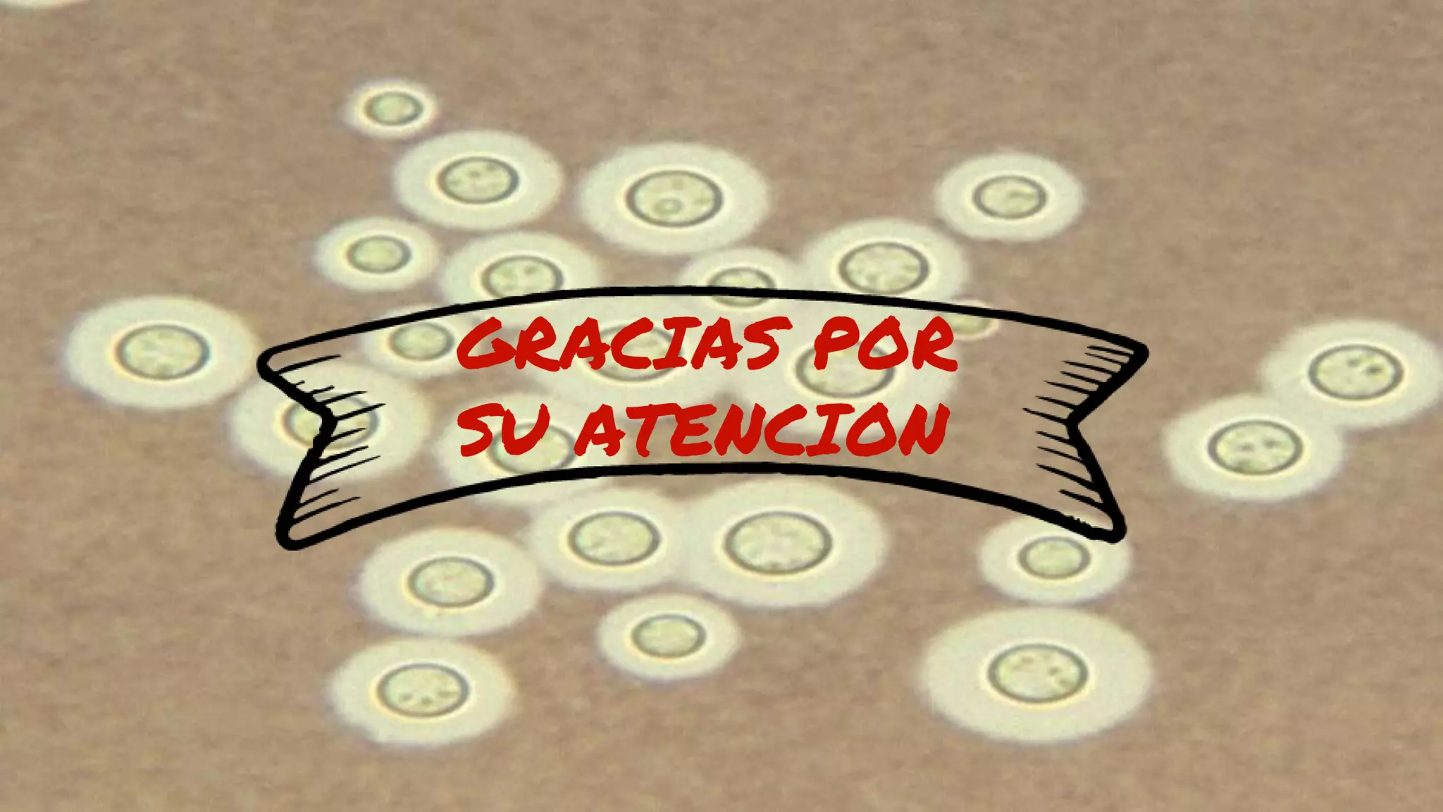 GRACIAS POR
SU ATENCION
 