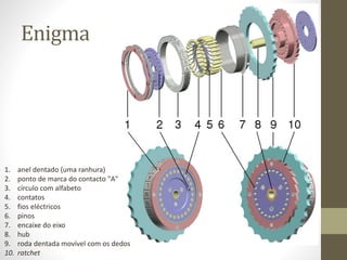 Enigma
1. anel dentado (uma ranhura)
2. ponto de marca do contacto "A"
3. círculo com alfabeto
4. contatos
5. fios eléctricos
6. pinos
7. encaixe do eixo
8. hub
9. roda dentada movível com os dedos
10. ratchet
 