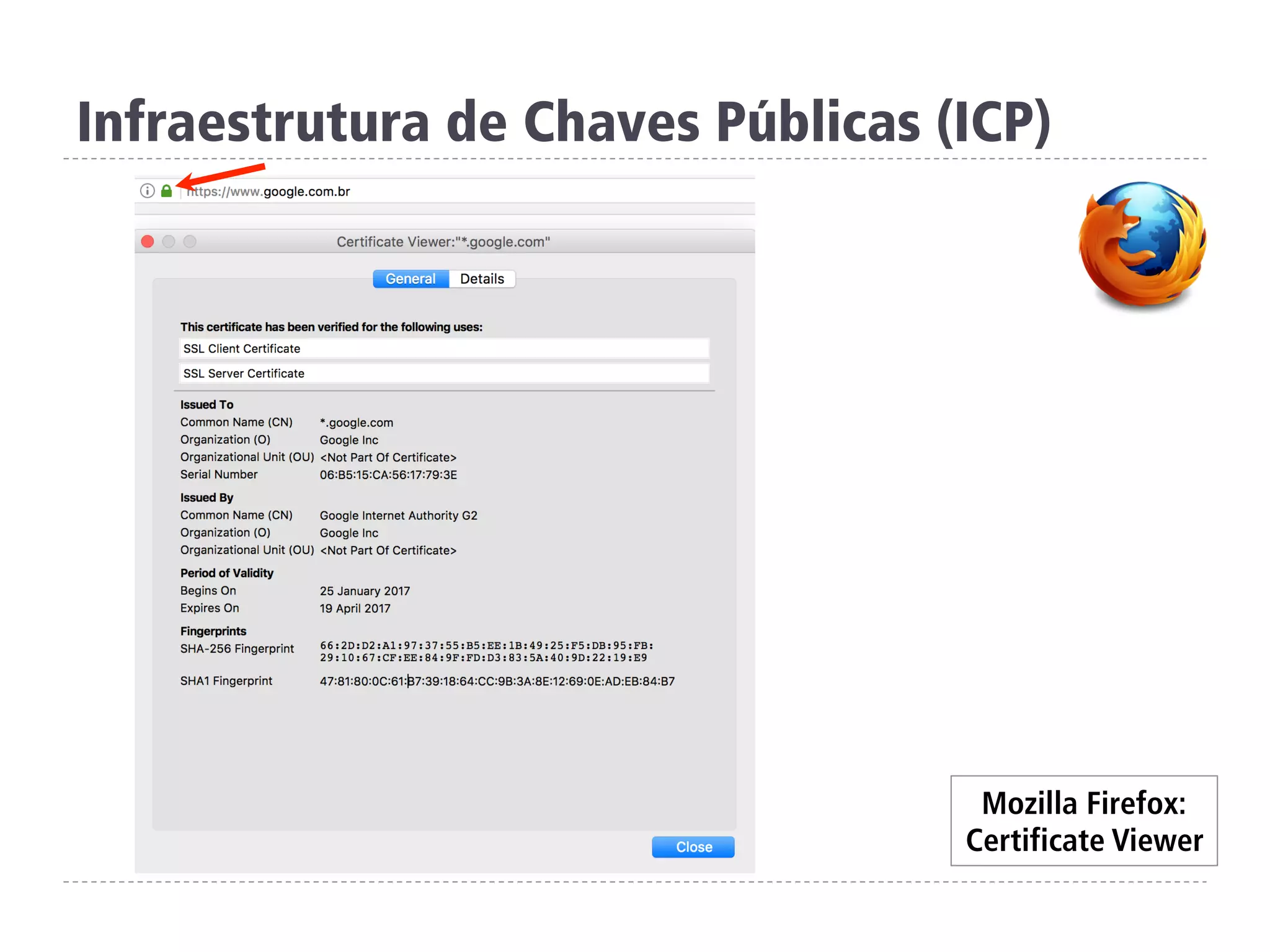 Infraestrutura de Chaves Públicas (ICP)
Mozilla Firefox:
Certificate Viewer
 