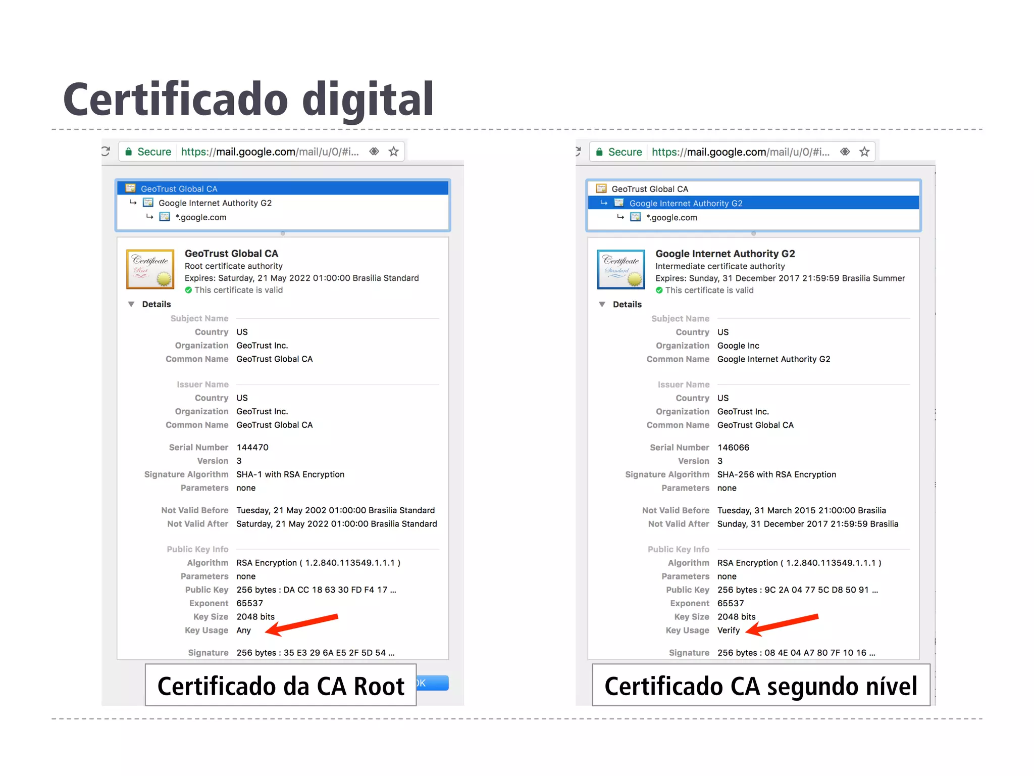 Certificado digital
Certificado da CA Root Certificado CA segundo nível
 
