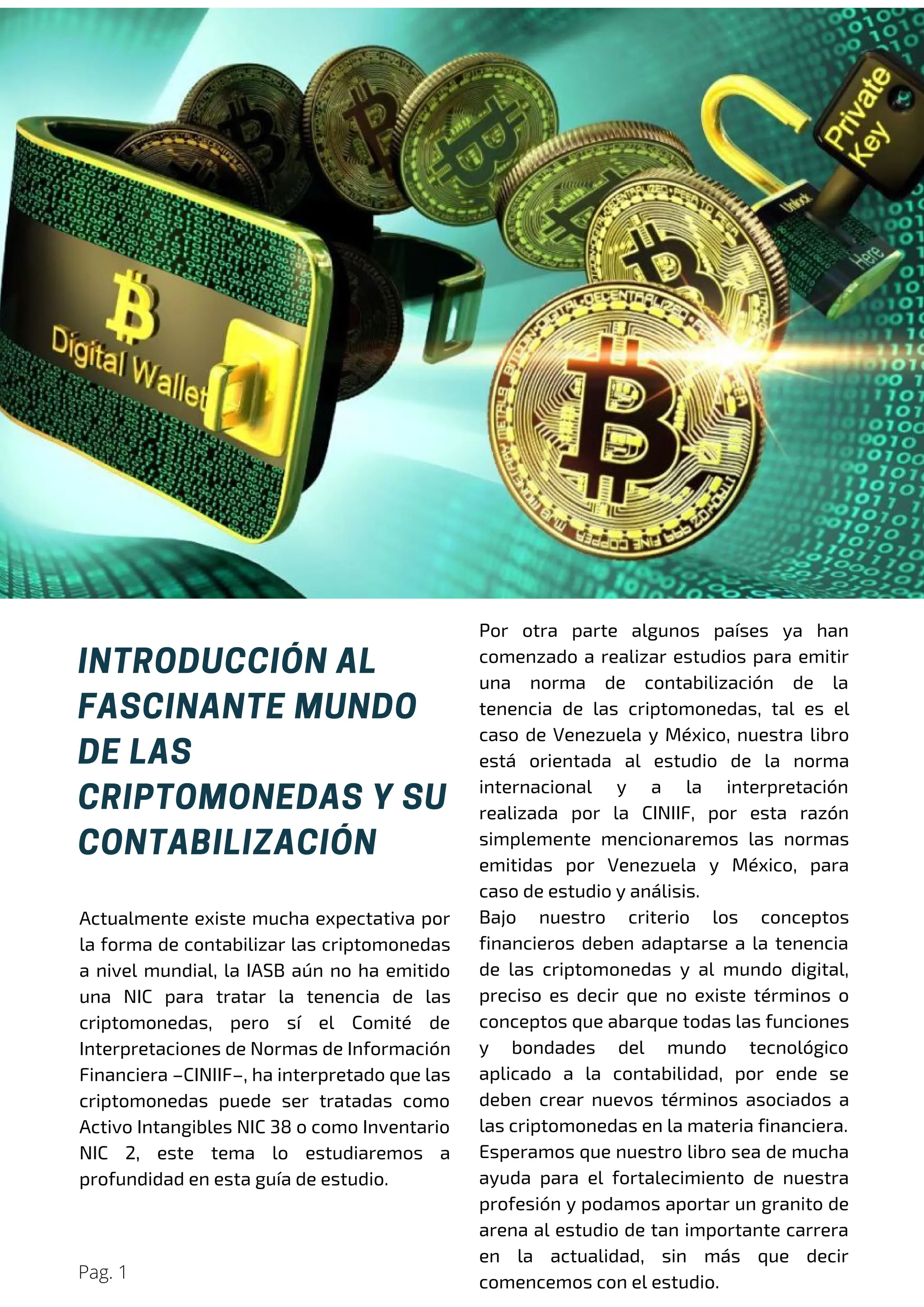Criptomonedas LIBRO.pdf