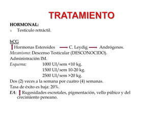 DIAGNÓSTICO LAPAROSCOPIA(+) No palpables.AnatomíaInformación visualLocalización y Tamaño.Aporte sanguíneo.Epidídimo.