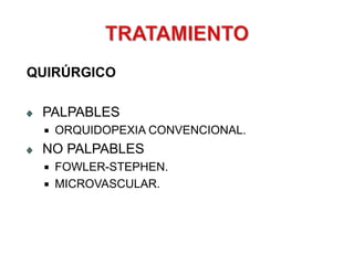 ORIFICIOINGUINALVASOSESPERMÁTICOSVASOSDEFERENCIALESPINZA DE 3 mmTESTICULO