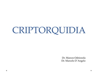 CRIPTORQUIDIA
Dr. Marcos Odriozola
Dr. Marcelo D´Angelo
 