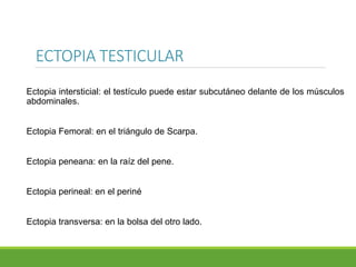 Ectopia intersticial: el testículo puede estar subcutáneo delante de los músculos
abdominales.
Ectopia Femoral: en el triángulo de Scarpa.
Ectopia peneana: en la raíz del pene.
Ectopia perineal: en el periné
Ectopia transversa: en la bolsa del otro lado.
ECTOPIA TESTICULAR
 