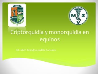 Criptorquidia y monorquidia en
equinos
Est. MVZ: Brandon padilla Gonzalez
 