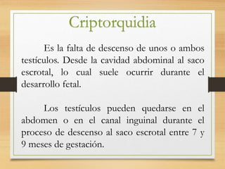 Criptorquidia
Es la falta de descenso de unos o ambos
testículos. Desde la cavidad abdominal al saco
escrotal, lo cual suele ocurrir durante el
desarrollo fetal.
Los testículos pueden quedarse en el
abdomen o en el canal inguinal durante el
proceso de descenso al saco escrotal entre 7 y
9 meses de gestación.
 