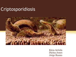 Criptosporidiosis




                    Kirza Arriola
                    Diyina Jones
                    Jorge Ruano
 