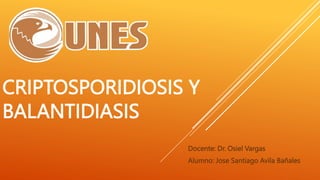 CRIPTOSPORIDIOSIS Y
BALANTIDIASIS
Docente: Dr. Osiel Vargas
Alumno: Jose Santiago Avila Bañales
 