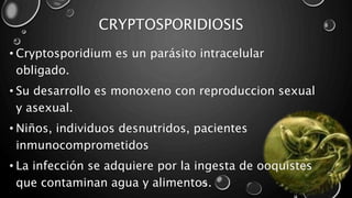 Criptosporidium