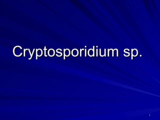 Cryptosporidium sp.   
