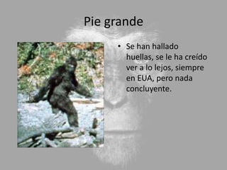 Pie grande
     • Se han hallado
       huellas, se le ha creído
       ver a lo lejos, siempre
       en EUA, pero nada
       concluyente.
 