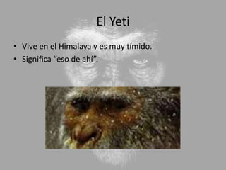 El Yeti
• Vive en el Himalaya y es muy tímido.
• Significa “eso de ahí”.
 