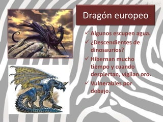 Dragón europeo
 Algunos escupen agua.
 ¿Descendientes de
  dinosaurios?
 Hibernan mucho
  tiempo y cuando
  despiertan, vigilan oro.
 Vulnerables por
  debajo.
 