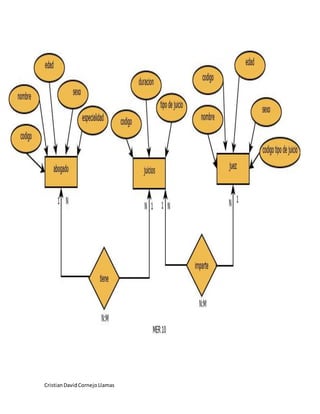 CristianDavidCornejoLlamas
 
