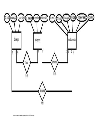 CristianDavidCornejoLlamas
 
