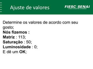 Ajuste de valores
Determine os valores de acordo com seu
gosto;
Nós fizemos :
Matriz : 113;
Saturação : 50;
Luminosidade : 0;
E dê um OK;
 