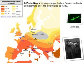 A Peste Negra  propaga-se por toda a Europa de finais de Setembro de 1348 aos inícios de 1349. Yersinia pestis Ampliada 2000x 