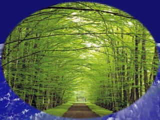 CRISE - INSTITUT 2011 - M.St-Laurent & G.Dion - Programme de suivi étroit/intégré dans la communauté: dans l'oeil du cyclone