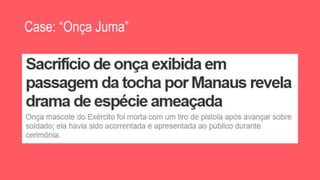 Case: “Onça Juma”
 
