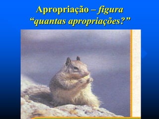 Apropriação – figura
“quantas apropriações?”

 