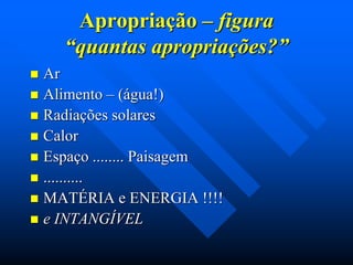 Apropriação – figura
“quantas apropriações?”
Ar
 Alimento – (água!)
 Radiações solares
 Calor
 Espaço ........ Paisagem
 ..........
 MATÉRIA e ENERGIA !!!!
 e INTANGÍVEL


 