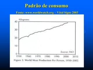 Padrão de consumo
Fonte: www.worldwatch.org – Vital Signs 2003

 