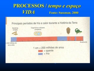 PROCESSOS / tempo e espaço
VIDA
Fonte: Sussman, 2000

 