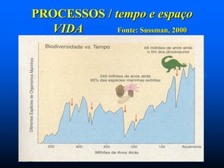 PROCESSOS / tempo e espaço
VIDA
Fonte: Sussman, 2000

 