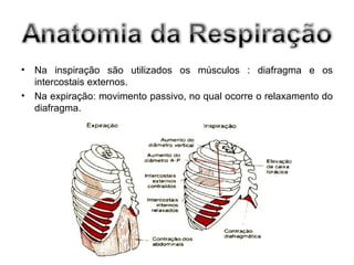 •   Na inspiração são utilizados os músculos : diafragma e os
    intercostais externos.
•   Na expiração: movimento passivo, no qual ocorre o relaxamento do
    diafragma.
 