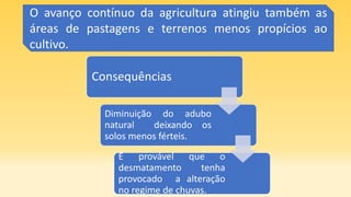 O avanço contínuo da agricultura atingiu também as
áreas de pastagens e terrenos menos propícios ao
cultivo.
Consequências
Diminuição do adubo
natural deixando os
solos menos férteis.
É provável que o
desmatamento tenha
provocado a alteração
no regime de chuvas.
 