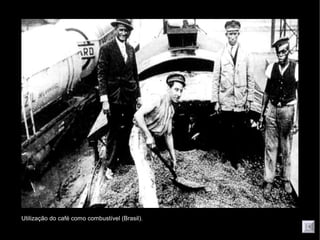 Utilização do café como combustível (Brasil).
 