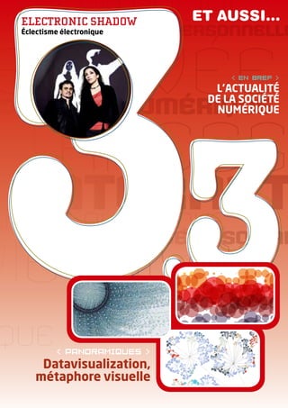 ELEctrONic sHADOW           et aussi…
Éclectisme électronique




                                  en Bref 
                              L’ACTuALITÉ
                             DE LA SOCIÉTÉ
                              NuMÉRIQuE




          panoramiques 
     Datavisualization,
    métaphore visuelle
 