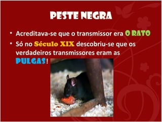 Peste Negra
• Acreditava-se que o transmissor era o rato
• Só no Século XIX descobriu-se que os
verdadeiros transmissores eram as
pulgas!
 