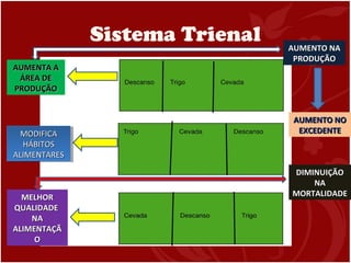 Sistema Trienal
AUMENTA AAUMENTA A
ÁREA DEÁREA DE
PRODUÇÃOPRODUÇÃO
MODIFICAMODIFICA
HÁBITOSHÁBITOS
ALIMENTARESALIMENTARES
MODIFICAMODIFICA
HÁBITOSHÁBITOS
ALIMENTARESALIMENTARES
MELHORMELHOR
QUALIDADEQUALIDADE
NANA
ALIMENTAÇÃALIMENTAÇÃ
OO
DIMINUIÇÃODIMINUIÇÃO
NANA
MORTALIDADEMORTALIDADE
AUMENTO NAAUMENTO NA
PRODUÇÃOPRODUÇÃO
AUMENTO NOAUMENTO NO
EXCEDENTEEXCEDENTE
 