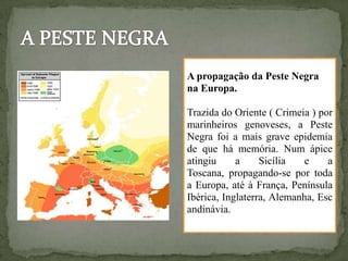A propagação da Peste Negra
na Europa.

Trazida do Oriente ( Crimeia ) por
marinheiros genoveses, a Peste
Negra foi a mais grave epidemia
de que há memória. Num ápice
atingiu     a     Sicília   e    a
Toscana, propagando-se por toda
a Europa, até à França, Península
Ibérica, Inglaterra, Alemanha, Esc
andinávia.
 