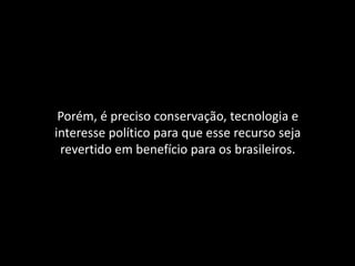 Porém, é preciso conservação, tecnologia e
interesse político para que esse recurso seja
revertido em benefício para os brasileiros.
 