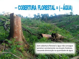Sem cobertura florestal a água não consegue
penetrar corretamente nos lençóis freáticos,
causando diminuição na quantidade de água.
 