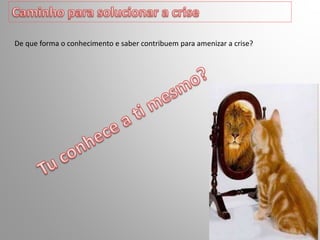 De que forma o conhecimento e saber contribuem para amenizar a crise?
 