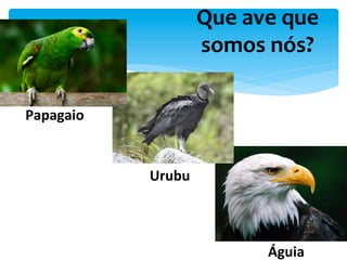 Que	
  ave	
  que	
  
somos	
  nós?	
  
Papagaio	
  
Urubu	
  
Águia	
  
 