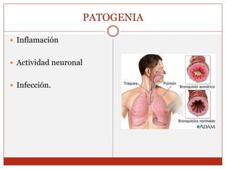 PATOGENIAInflamaciónActividad neuronalInfección. 