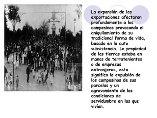 La expansión de las exportaciones afectaron profundamente a los campesinos provocando el aniquilamiento de su tradicional forma de vida, basado en la auto subsistencia. La propiedad de las tierras estaba en manos de terratenientes o de empresas extranjeras, esto significo la expulsión de los campesinos de sus parcelas y un agravamiento de las condiciones de servidumbre en las que vivían.  
